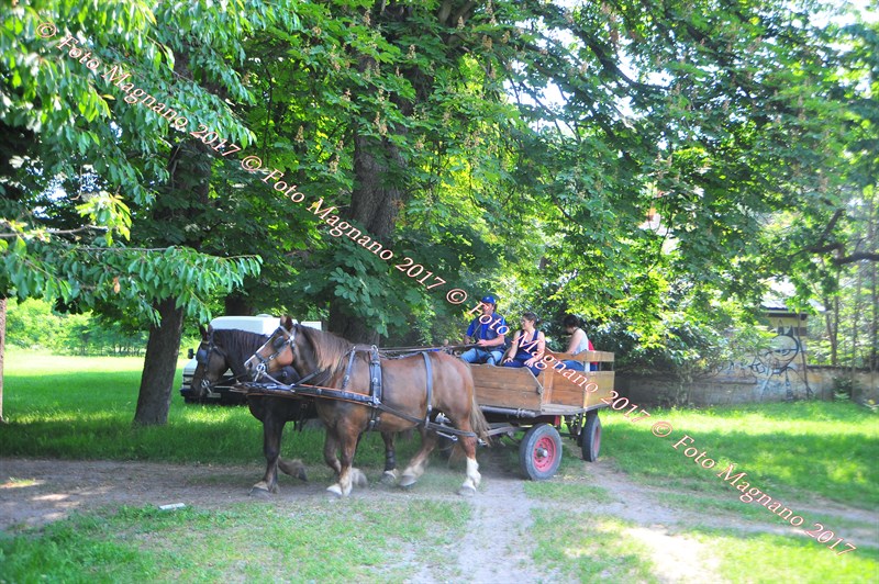 DSC_0890.JPG